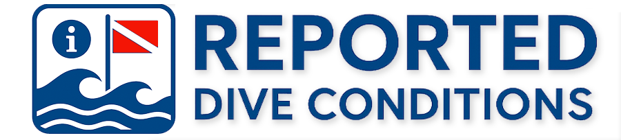 Reported Dive Conditions
